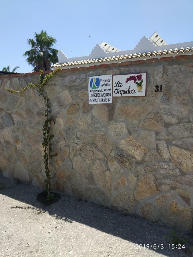 La Orquidea Morada Villa Conil De La Frontera Eksteriør bilde