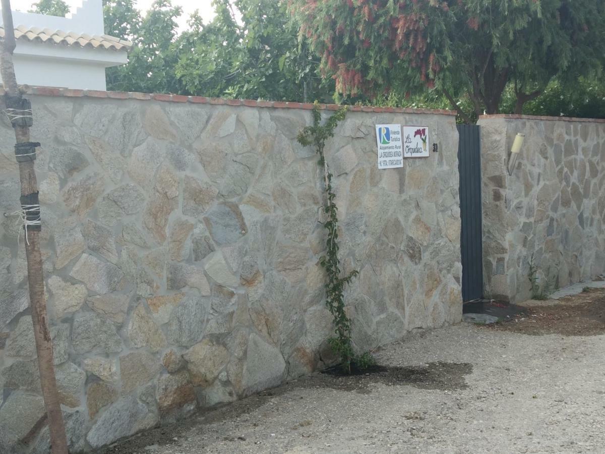 La Orquidea Morada Villa Conil De La Frontera Eksteriør bilde